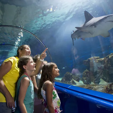 Soblue Hotel Antibes